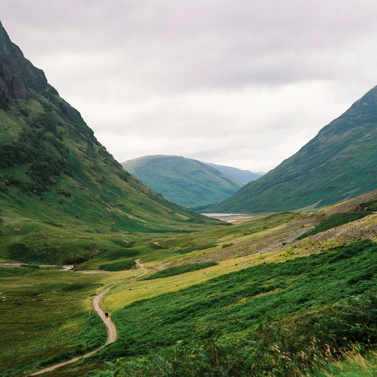 Irish Nature Names